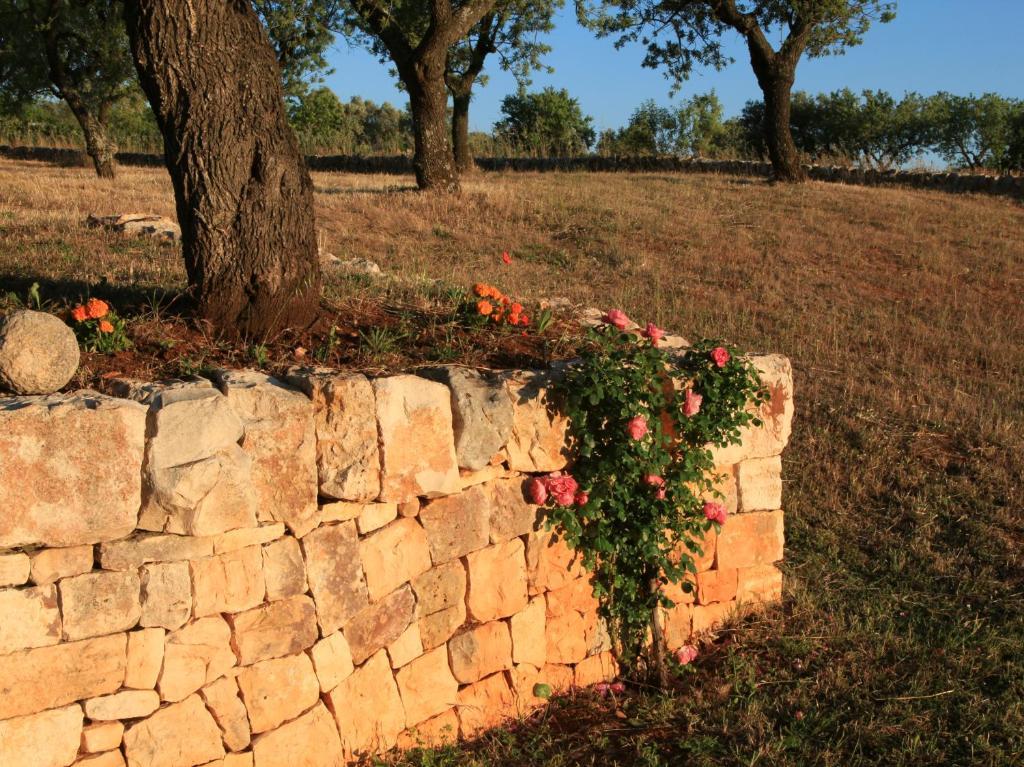 Pietraluce Guest House Алберобело Екстериор снимка